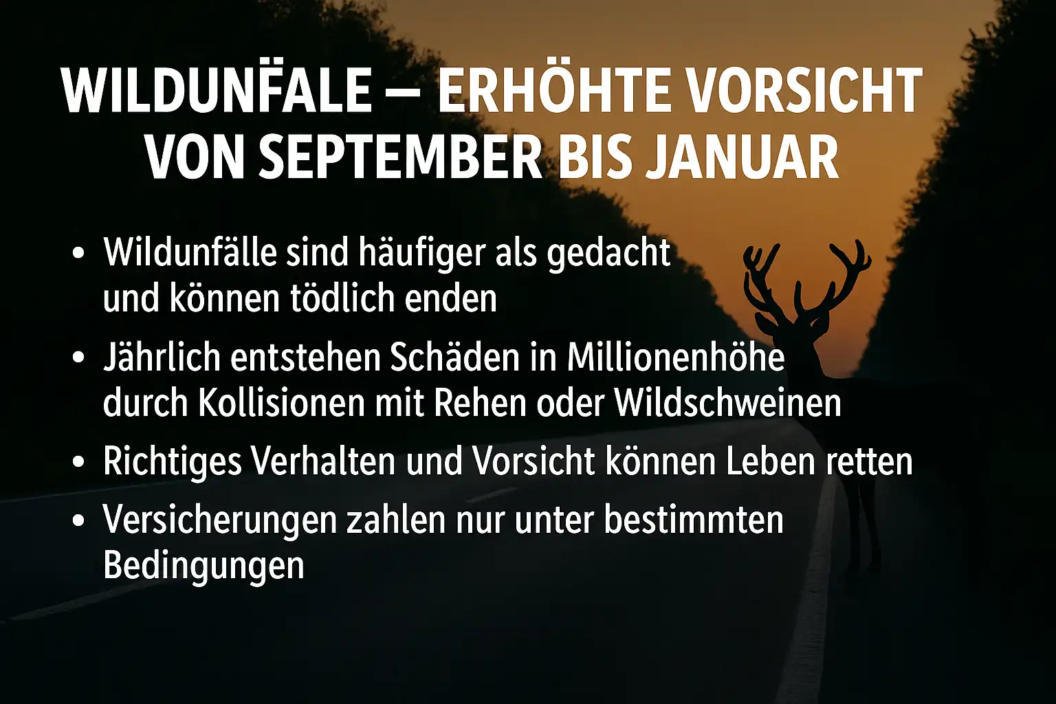 Wildunfälle